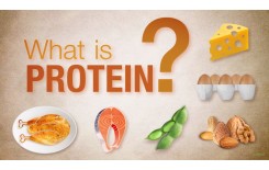 What are proteins