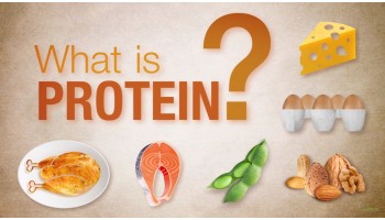 What are proteins